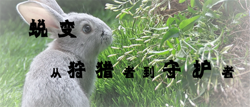 太阳娱乐城