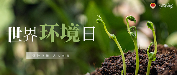 太阳娱乐城