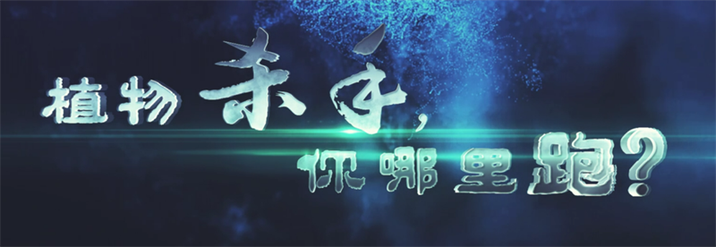 太阳娱乐城
