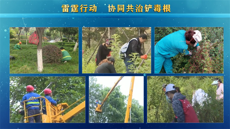 太阳娱乐城