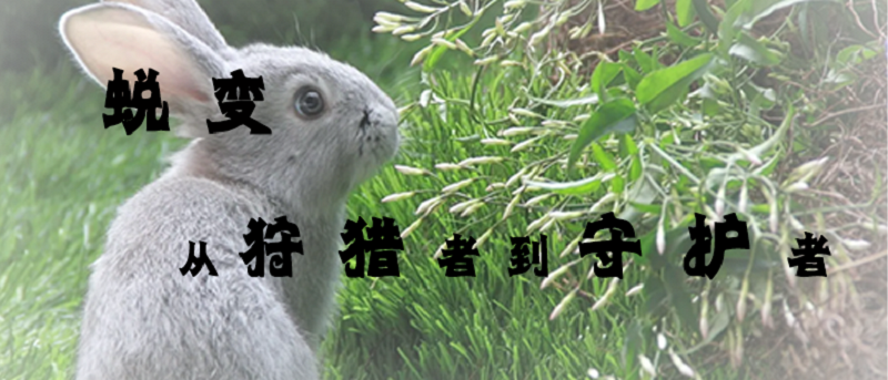 太阳娱乐城