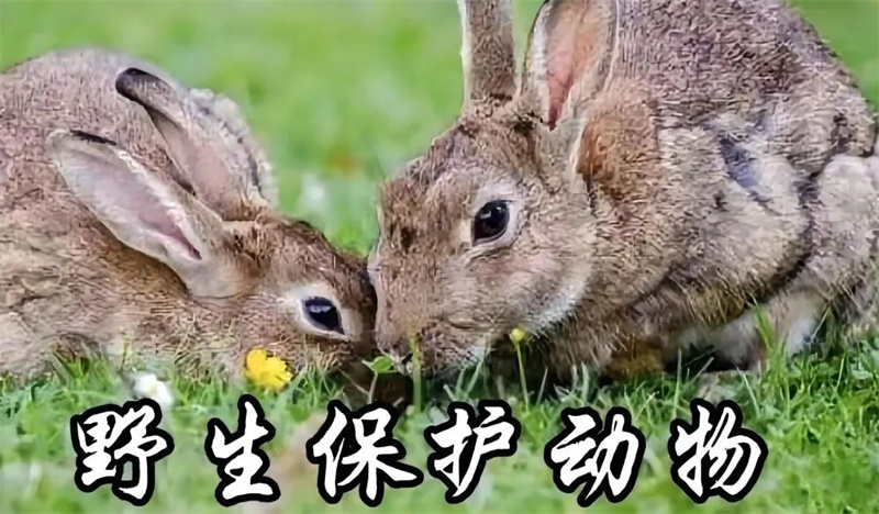 太阳娱乐城