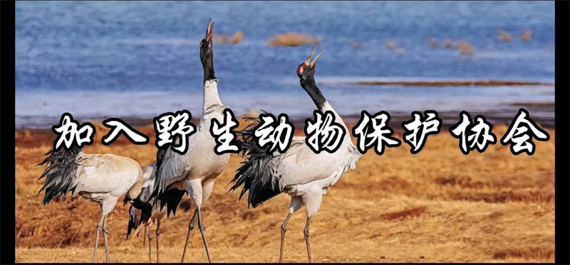 太阳娱乐城