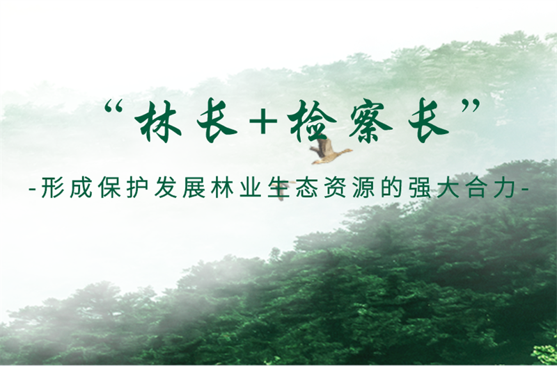 太阳娱乐城