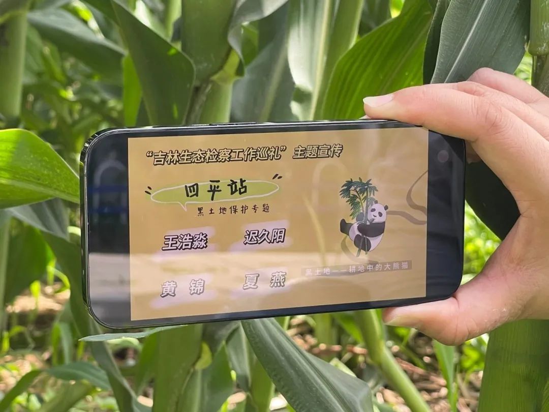 太阳娱乐城