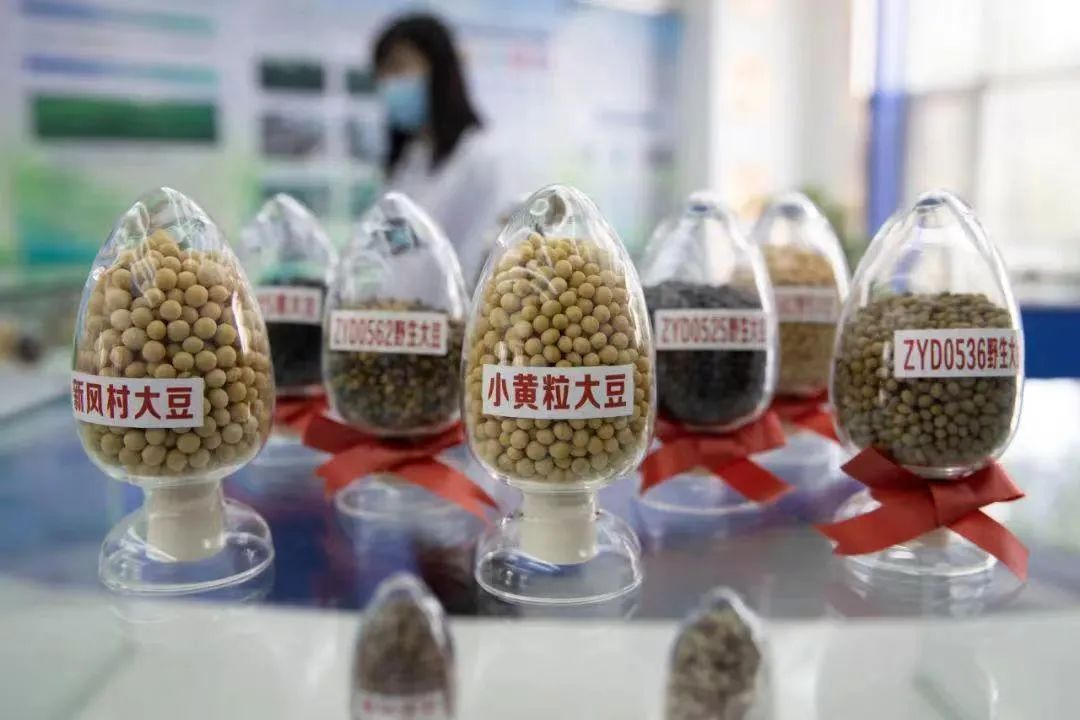 太阳娱乐城