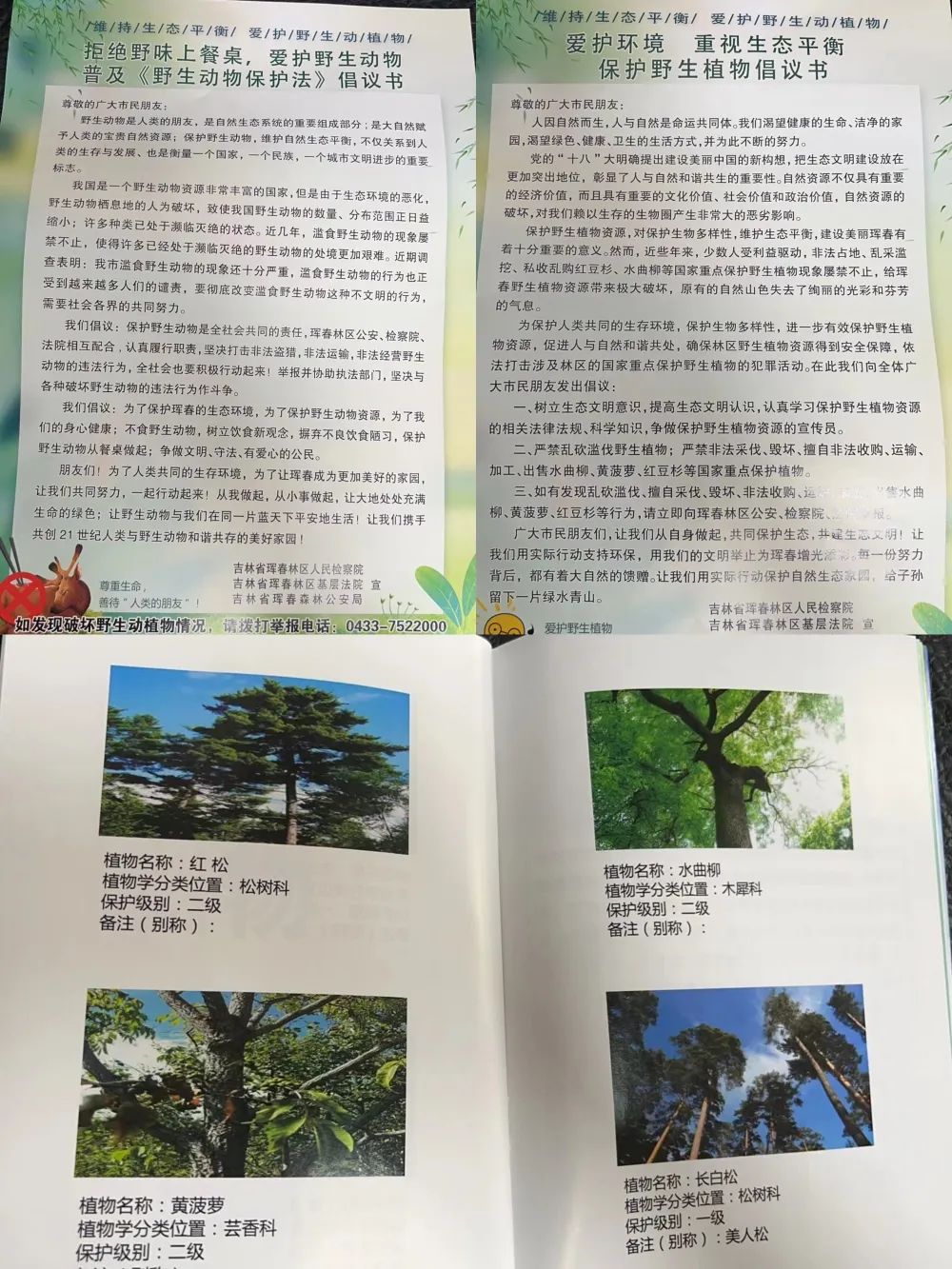 太阳娱乐城