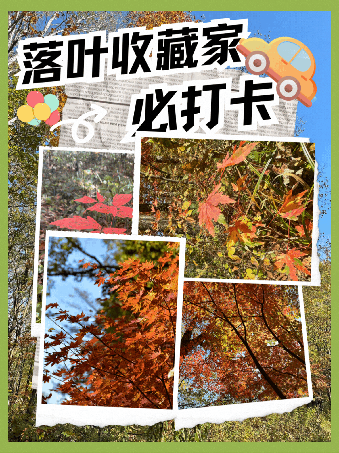 太阳娱乐城