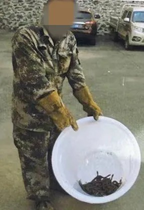太阳娱乐城