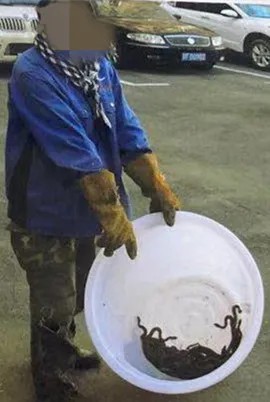太阳娱乐城