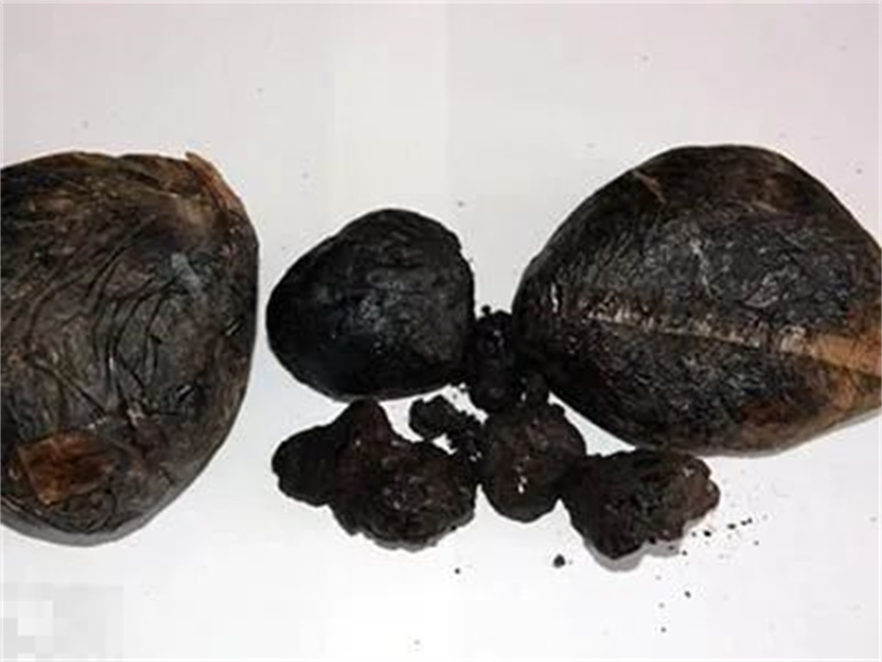 太阳娱乐城