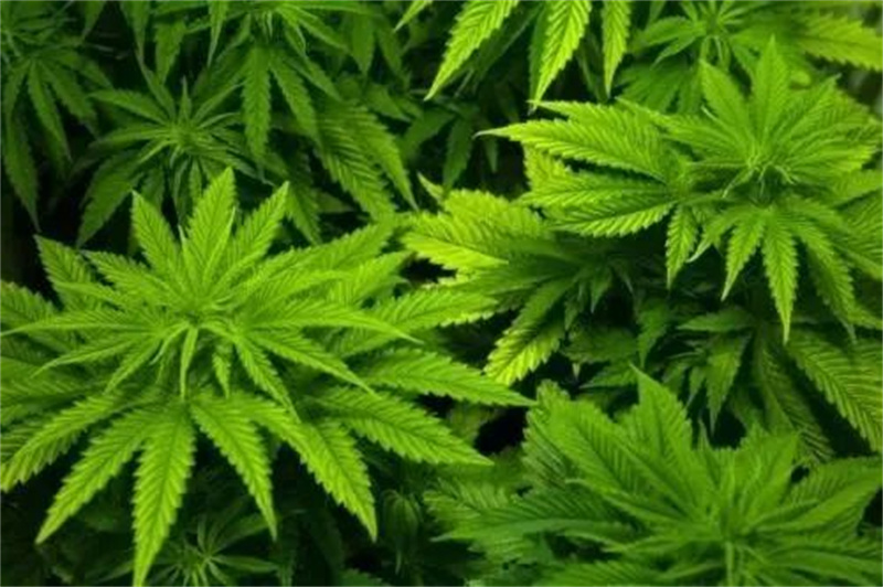 太阳娱乐城