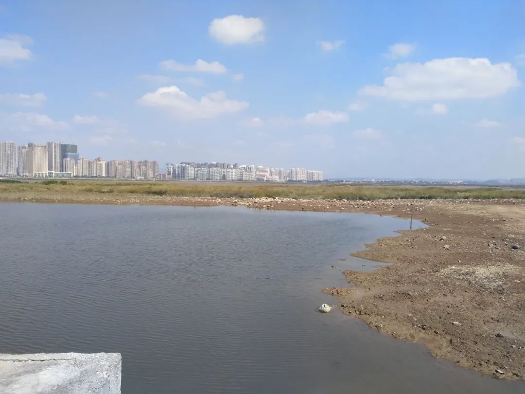 太阳娱乐城