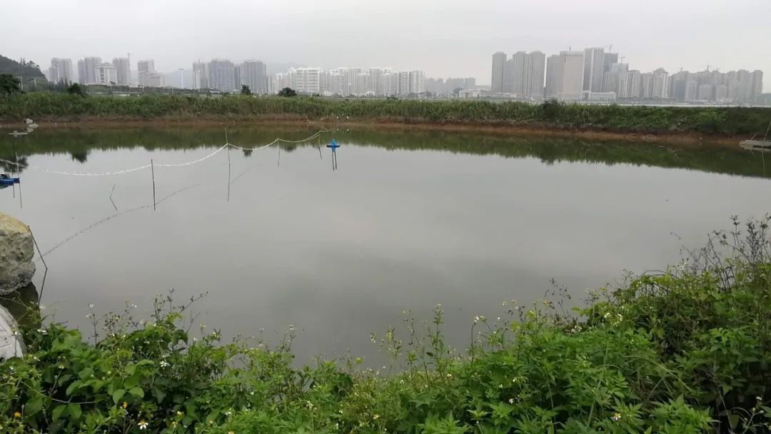 太阳娱乐城