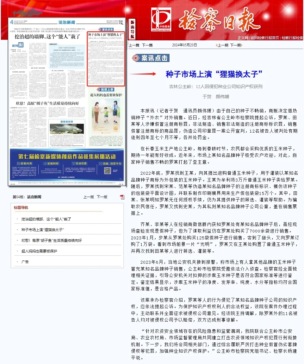 太阳日报
丨种子市场上演“狸猫换太子”