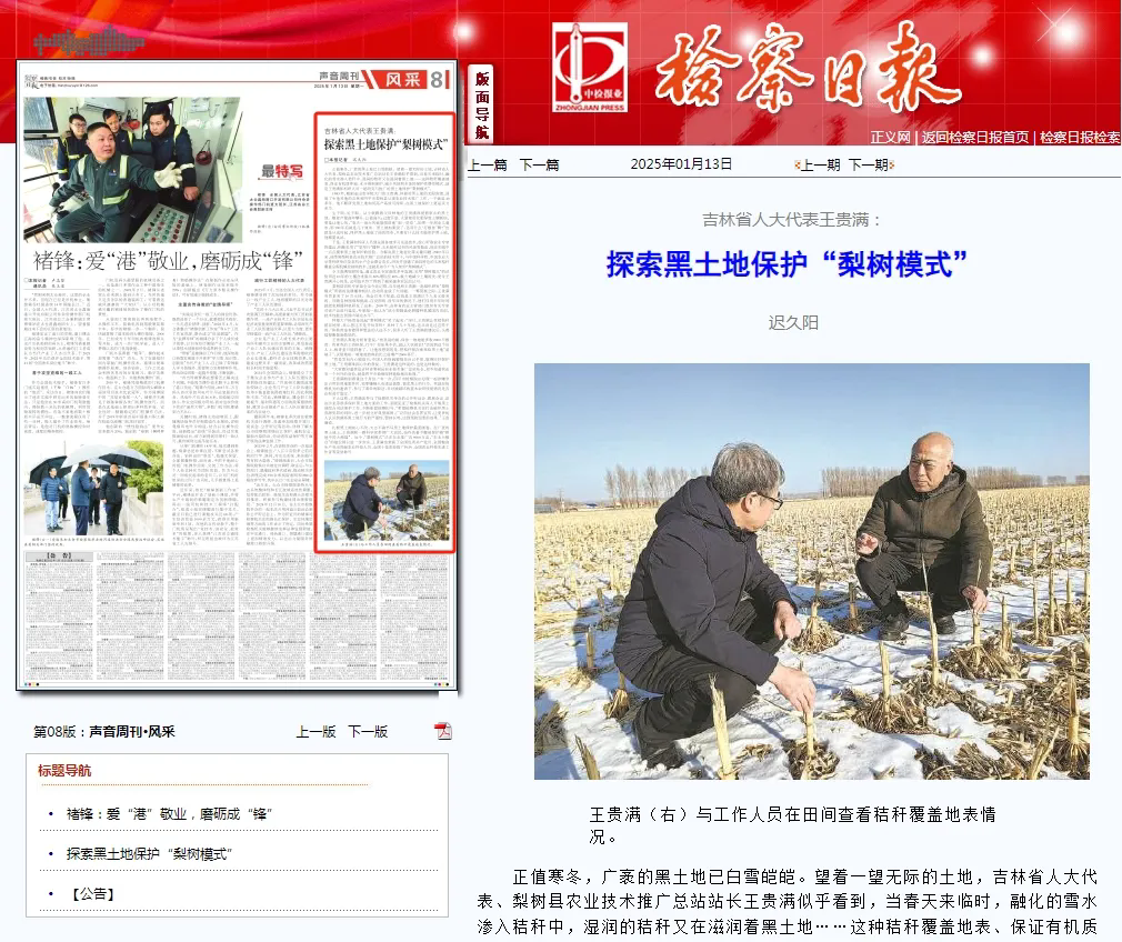 太阳日报
丨吉林省人大代表王贵满：探索黑土地保护“梨树模式”