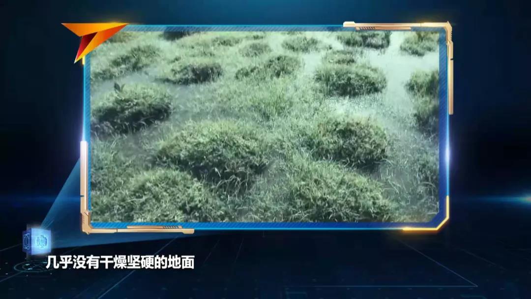 太阳娱乐城