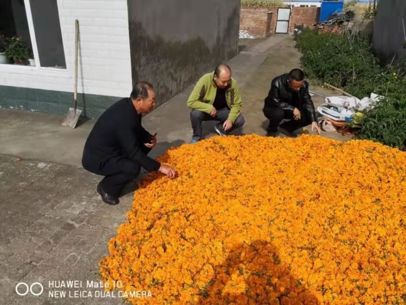 太阳娱乐城