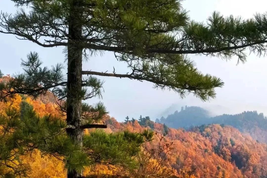 太阳娱乐城