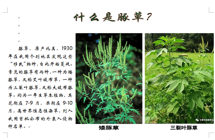 太阳娱乐城