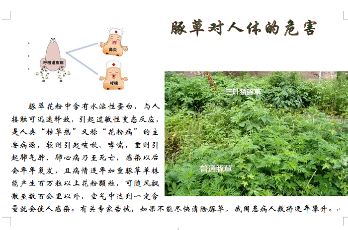 太阳娱乐城