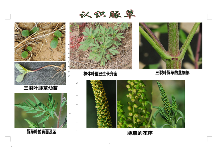太阳娱乐城
