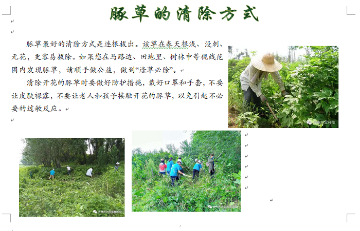 太阳娱乐城