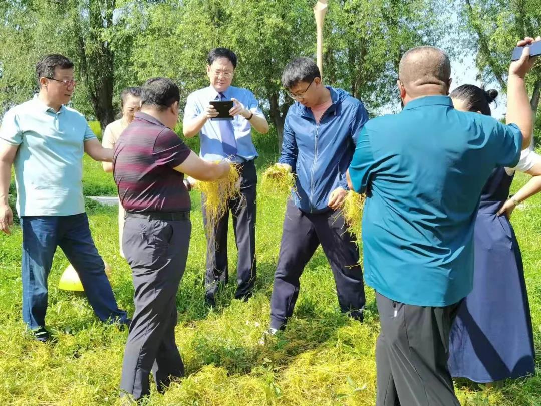 太阳娱乐城
