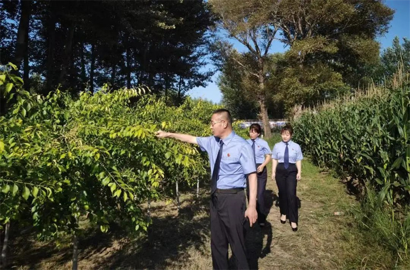 太阳娱乐城