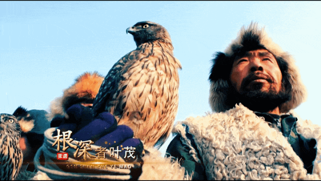 太阳娱乐城